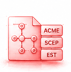 Automated Enrollment via ACME, SCEP & EST