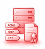 Automated enrollment through ACME, SCEP, and EST 1