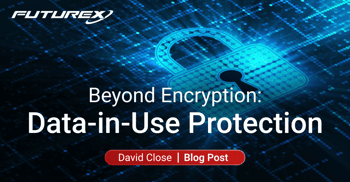 Beyond Encryption: Data-in-Use Protection