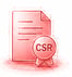 CSR Processing