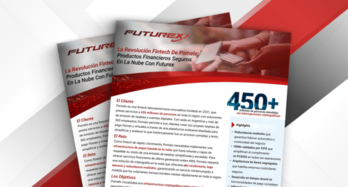 Pomelo case study (Spanish)