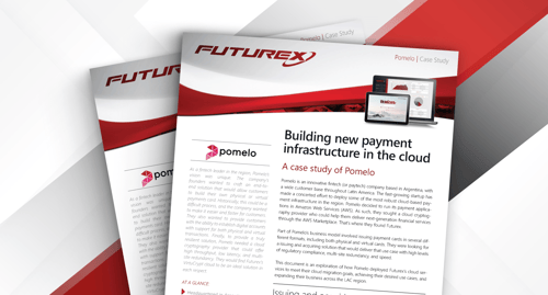 Pomelo case study (English)