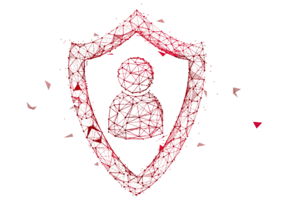 data encryption professional services