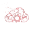icon_saas