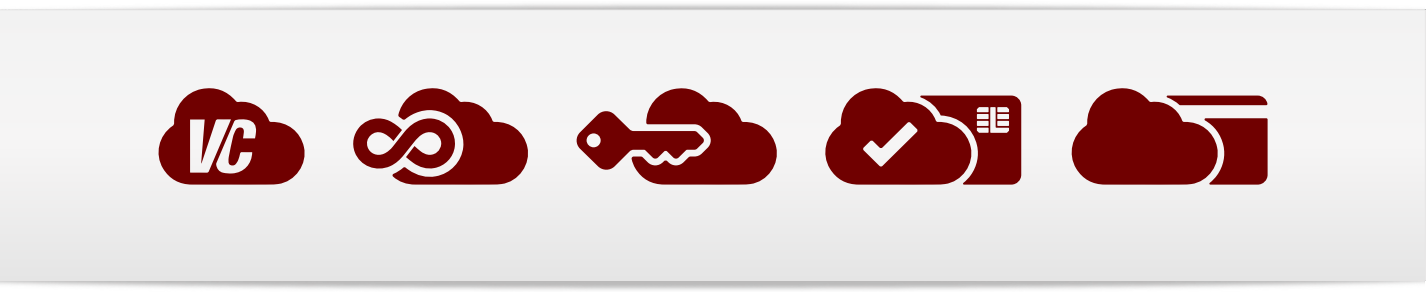 virtucrypt cloud hsm services overview